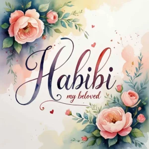 Read more about the article Habibi Meaning: Origins, Usage, and Cultural Significance in Arabic and Beyond