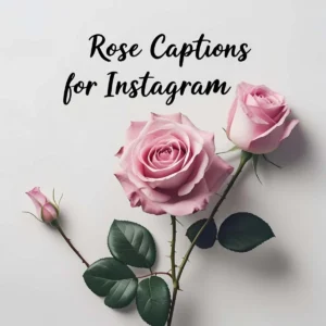 Read more about the article The Ultimate Guide to Rose Captions for Instagram in 2025 🌹